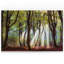 Majestic Morning - impression-1573234240-1573234255