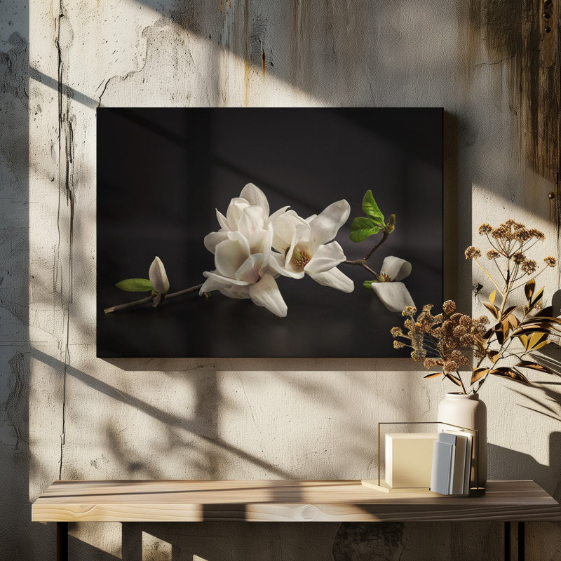 Wrapped Canvas Print, 50.8 cm H x 76.2 cm W