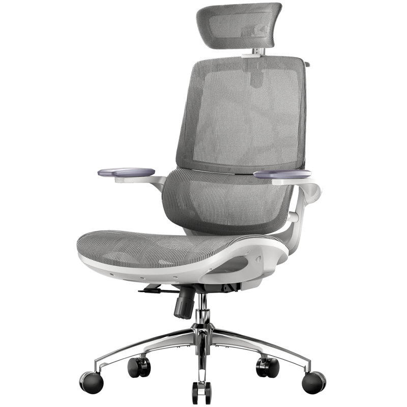 Mesh Office Chair, with Adjustable 3D Folding armrests, Dual-back Design, Grey, White