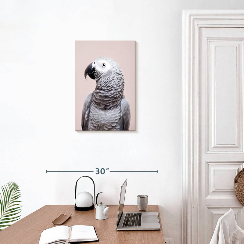 Brampt African Grey, 24" H x 16" W