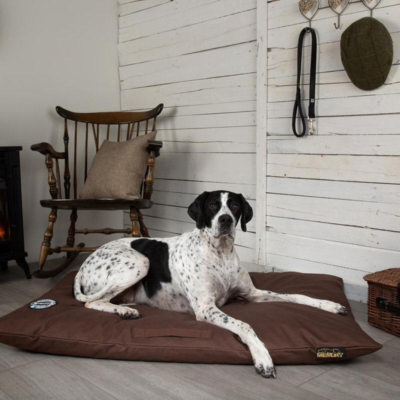 Expedition Orthopedic Polyester Pet Bed, 9cm H x 80cm W x 120cm D