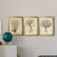 Esper Sea Fans IV - ensemble de 3 peintures sur toile encadrées-1921270025-1921270022