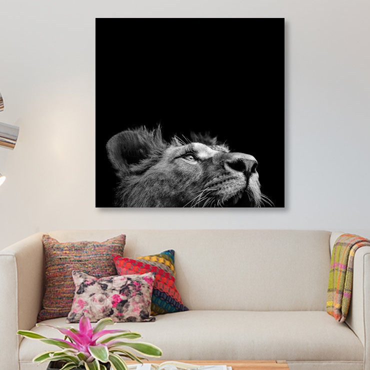 « lion ii », reproduction de photo sur toile, H 12 po x l 12 po x P 0,75 po, Toile tendue, Pas de tapis