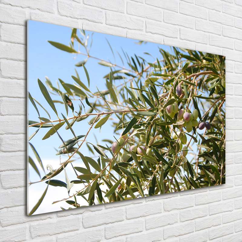 Olive Tree - Unframed Art Prints on Glass