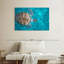 Natation tortue imbriquée-107699793