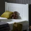 Vanderbilt Solid Wood Bed-22493901
