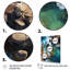 Coral Dreams Coastal Aérienne Views II - plage, art mural-1009323260-835719231