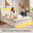 Upholstered Platform Bed Frame with Wingback Headboard & LED Lights& 4 Storage Drawers-966201855-966201854