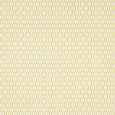 Schumacher x Veere Grenney Belvedere Fabric