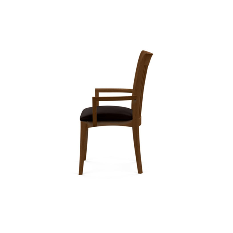 Sarah 19.25'' H Upholstered Armchair, Saddle Cherry, Ebony Leather