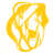 Dark Yellow