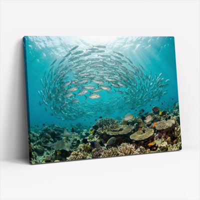 «Underwater Coral Reef Fish School», ensemble de 1 reproduction d'art sur toile tendue
