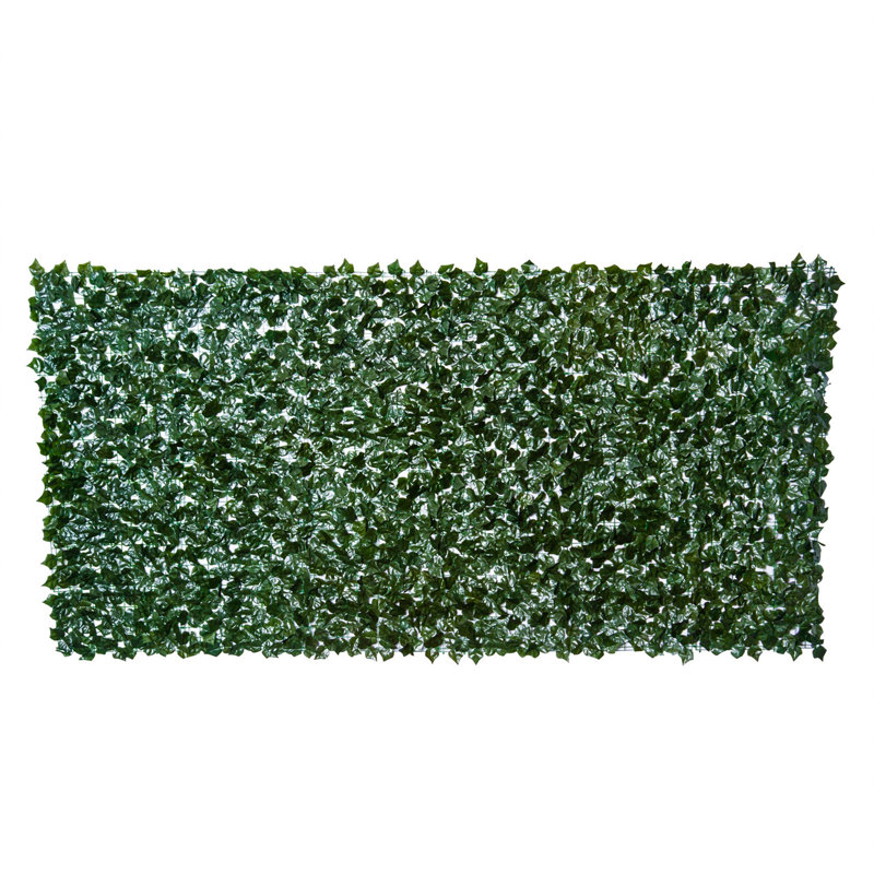 Privacy Fencing Hedge