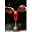 Tryst Drinking Glass