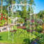 Pavillon de jardin en métal en forme de cage de pergola en forme de cage à oiseaux 81,7 po x 114,2 po-1870107094
