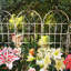 Ensemble de 2 treillis de jardin en métal Charlyn-253276860-238430634