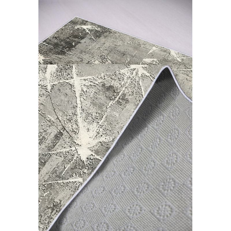 Tapis de qualité supérieure (2,6 x 4,0 pi), gris, 100% polyester, 650 g / m² | Hauteur des poils: 0,2 po, imprimé numérique, antibactérien, écologique, points antidérapants en PVC | Lavable à la machine, idéal pour le salon et la chambre à coucher