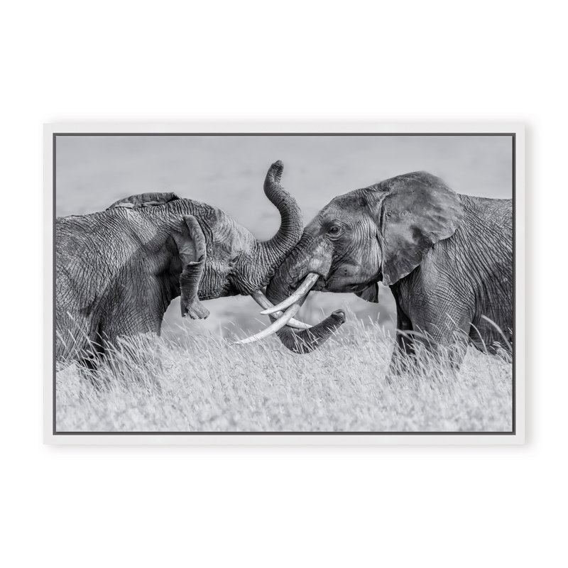 Nature Inspired Elephant Tai Chi by  - Picture Frame Photograph on Paper, 16" H x 24" W x 1.125" D, Black