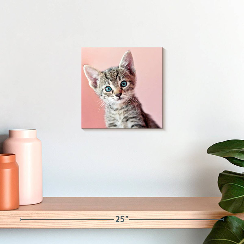 Crowle Staring Cat, 10" H x 10" W