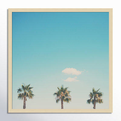 A Trio of Palm Trees Photo Print