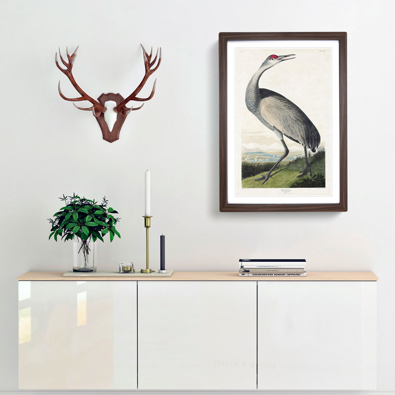 Hooping Crane by John Audubon - Framed Print, 65cm H x 48cm W x 2cm D, Walnut Framed