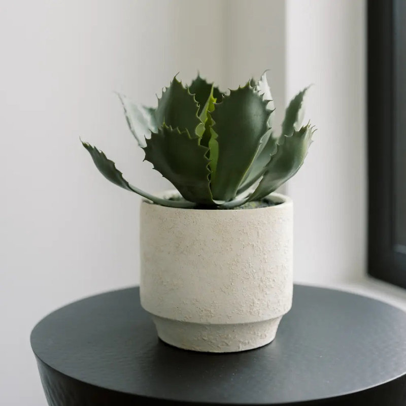 Artificial Succulent Plant Set in Stone Pots, Luxury 2-Pack