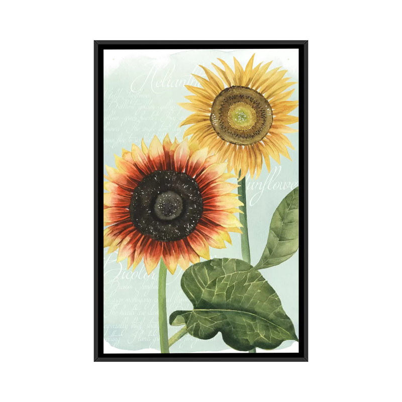 «Sunflower Study I», reproduction d'art sur toile, H 60 po x l 40po x P 1,5 po, Toile encadrée noire, Pas de tapis