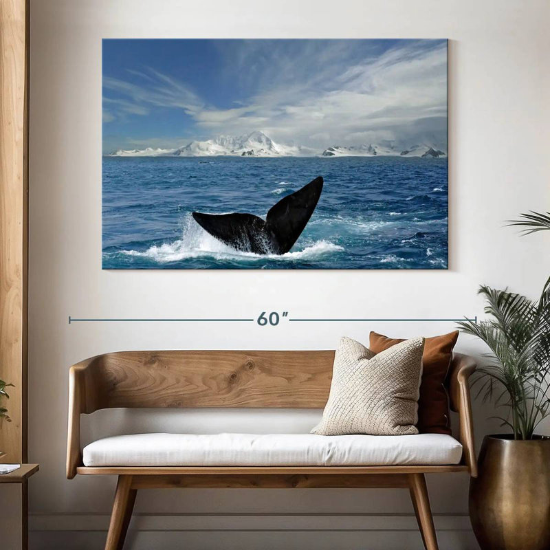 Nicci Antarctic Whale Tail
