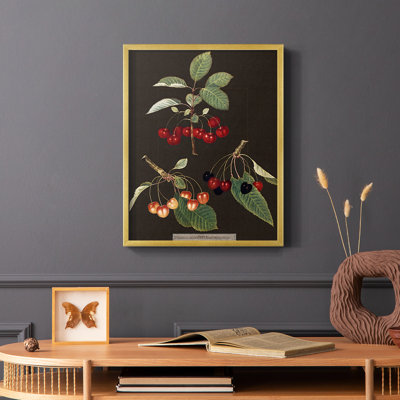 Brookshaw Cherries Framed Print - Solid Wood