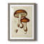 Champignon Variétés VI encadré mat - prêt à accrocher-868071624-868071630