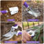 Ensemble d'outils de jardinage mauve pour femmes - Outils de jardinage robustes 11 pièces avec sac de rangement amovible, sarcleur, houe à double usage