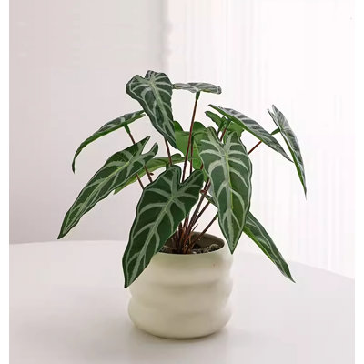 9.45'' Faux Fir Plant in Ceramic Planter