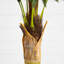 Cocotier artificiel-1201068296
