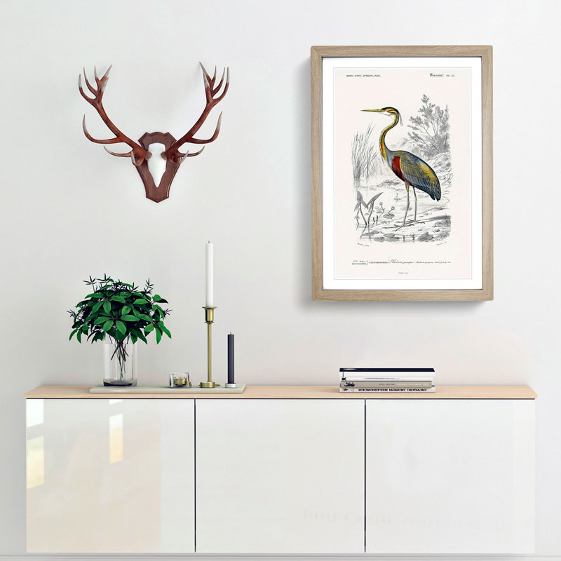 Heron by Charles D'Orbigny - Picture Frame Painting Print, 65cm H x 48cm W x 2cm D, Oak Framed