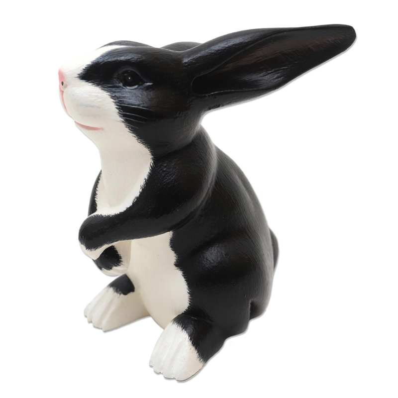 Adorable lapin Brazell, Noir/blanc