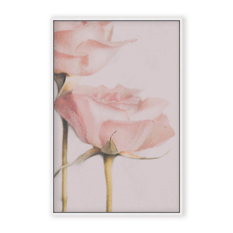 Nature Inspired Two Roses by  - Picture Frame Photograph on Paper, 36" H x 24" W x 1.125" D, Framed Print, White