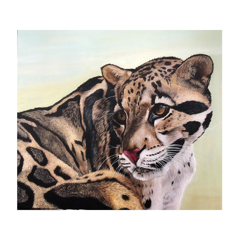 The Gaze (Clouded Leopard) | Painting By Zoya | For Wall Décor