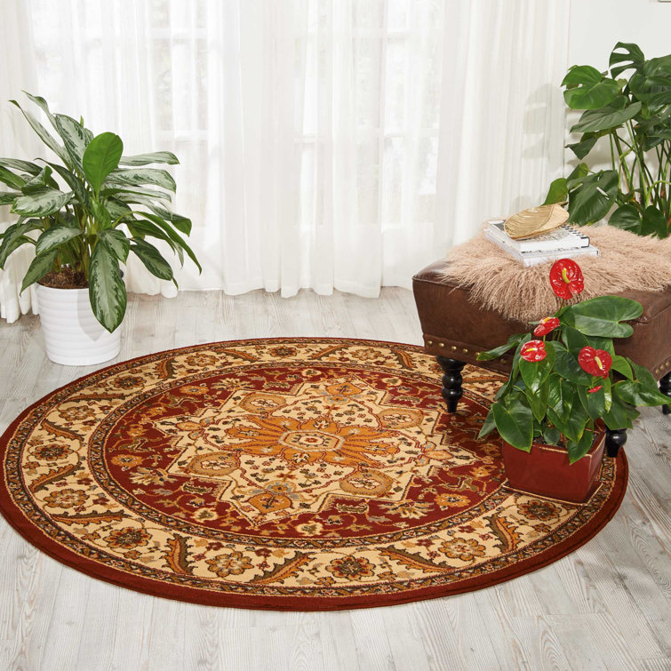 Demarcus Oriental Indoor Rug