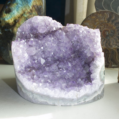 Cut Base Amethyst Geode