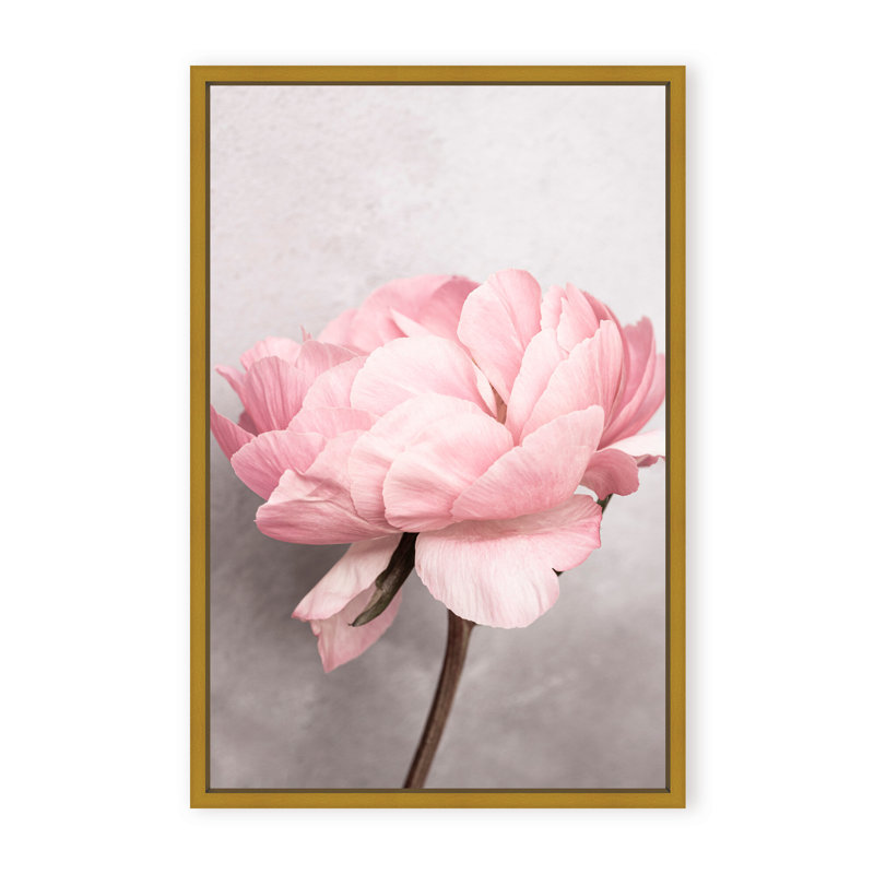 Nature Inspired Peony by  - Picture Frame Photograph on Paper, 48" H x 32" W x 1.125" D, Black, Framed Matted Print