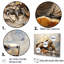 Tortue minimalisme sur toile-97047676-97047669