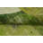Distressed Wool Green Patchwork Handmade Area Rug 7x10