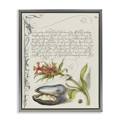 «Oyster & Plant Study», art mural encadré par Melissa Wang