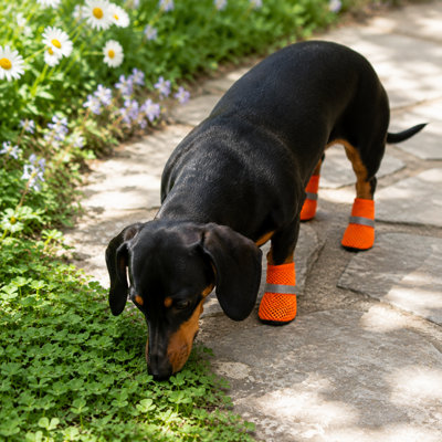 Breathable Mesh Non-Slip Dog Boots with Soft Soles, Set of 4