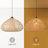 Bhatt 1 - Light Natural Dome Pendant-1608361639