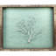 Sealife Print