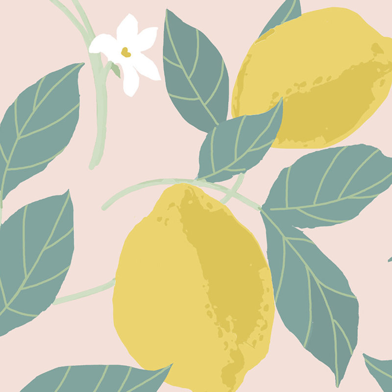 Floral Wallpaper Double Roll, Blush