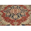 Medallion Wool Traditional Vegetable Dye Area Rug 8x10