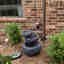 Customer photo 2 of 2