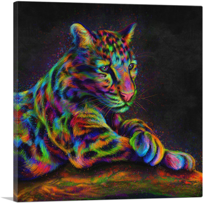 " Clouded Leopard Wild Himalayan Cat ", 36" H x 36" W x 0.75" D